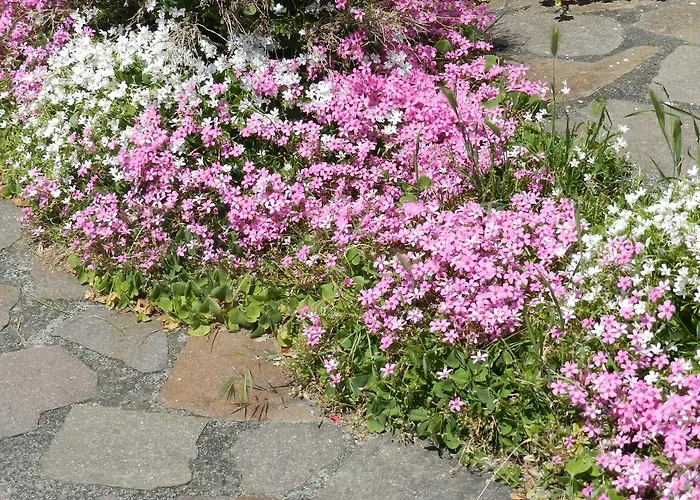 Nonna Arde Appartement Beverino